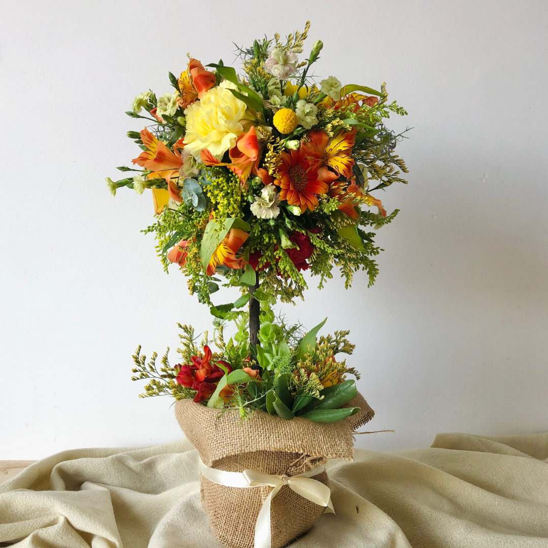 Día del Amor y la Amistad: Por Qué se Regalan Flores Amarillas en el Solsticio de Septiembre
