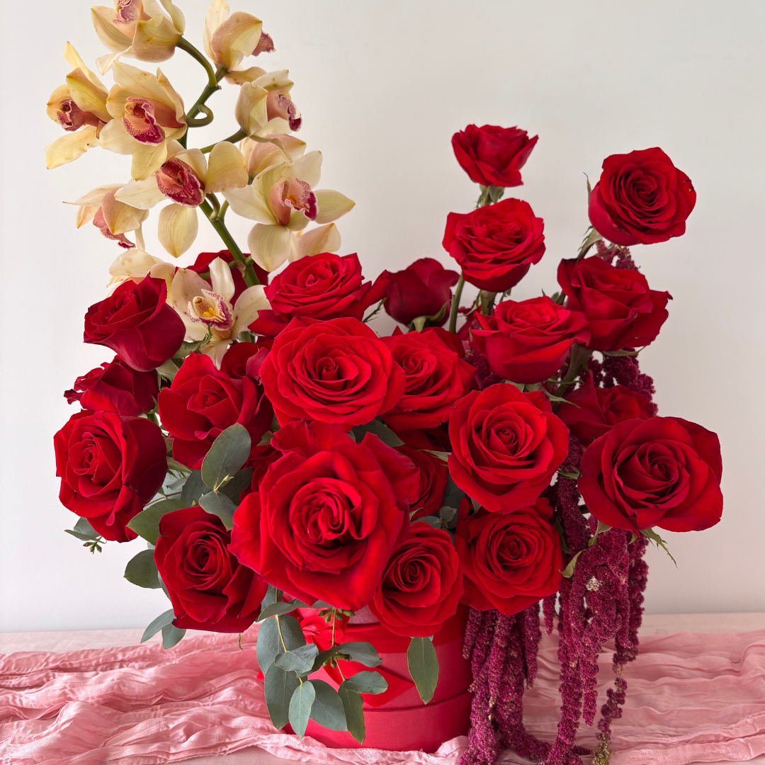 Latido de Rosas